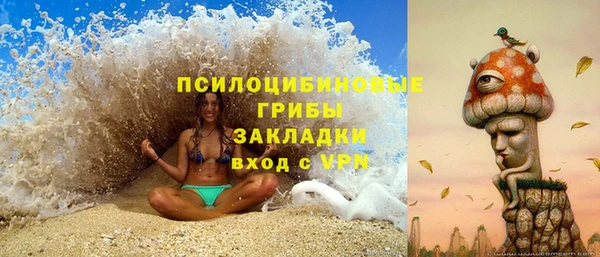 дурь Алзамай