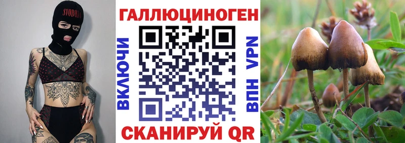 Галлюциногенные грибы ЛСД  Южно-Сухокумск 